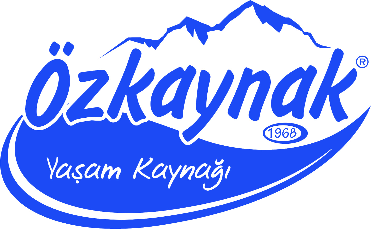 Özkaynak